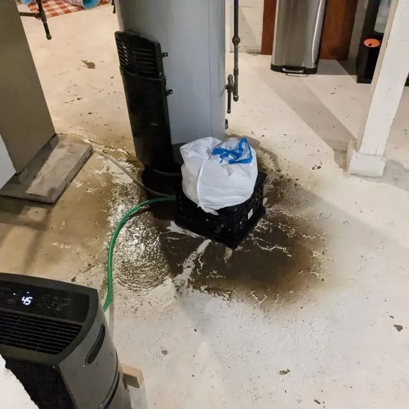 Sewage Backup Cleanup Service in Summit View, WA